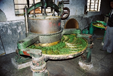 Alte Tee-Rollmaschine