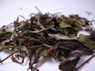 Bai Mu Dan: STD. 6901- Fujien