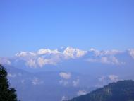 Darjeeling-producing area