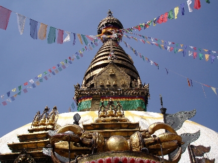 Teekultur in Nepal