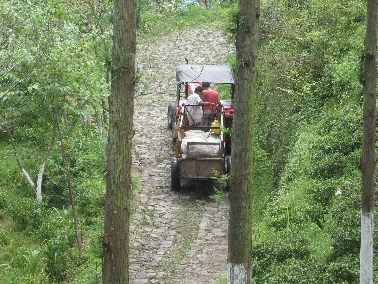 Transport zur Teefabrik