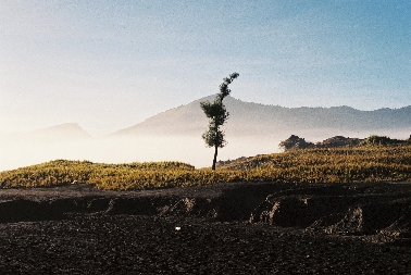 Auf dem Heimweg