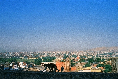 Blick auf Jaipur