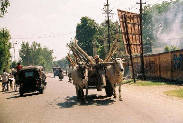 In Jaipur