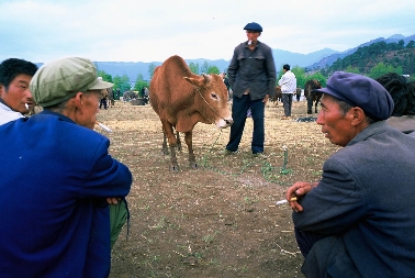 Richtung Zhong Dian