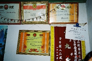 Auszeichnungen